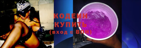 крисы Елабуга