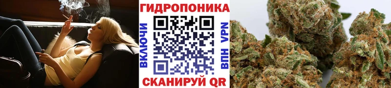 Каннабис гибрид блэк спрут онион Евпатория как найти закладки